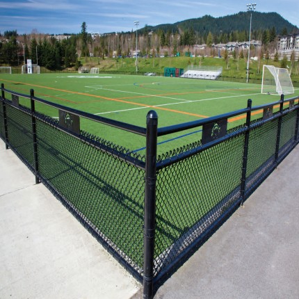 Town Centre Park Tournament Site – Coquitlam, BC 2008