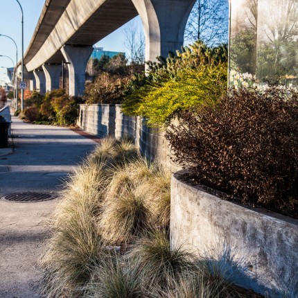 Burnaby Streets Beautification – Burnaby, BC 2011