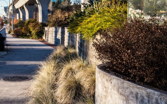 Burnaby Streets Beautification – Burnaby, BC 2011