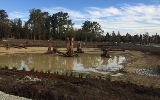 Newton Town Centre Detention Pond – Surrey, BC 2016