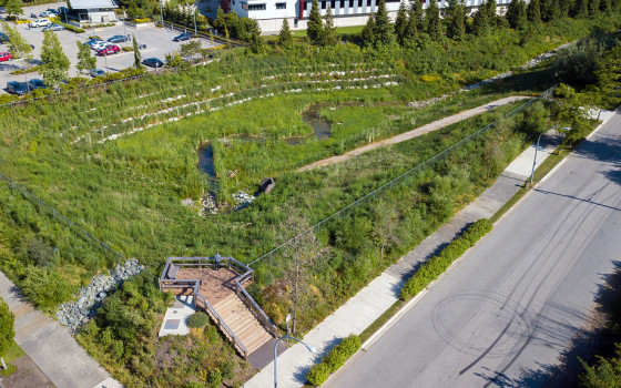 Latimer Pond 15 – Langley, BC 2017